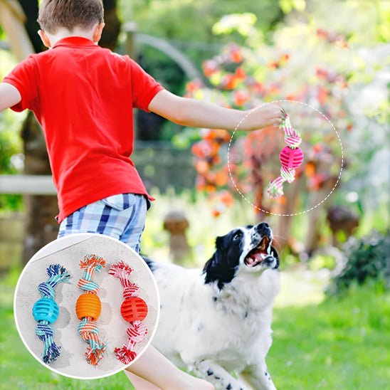 JOUET POUR CHIEN - Chien vénéré