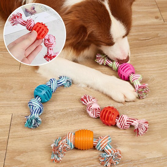 JOUET POUR CHIEN - Chien vénéré