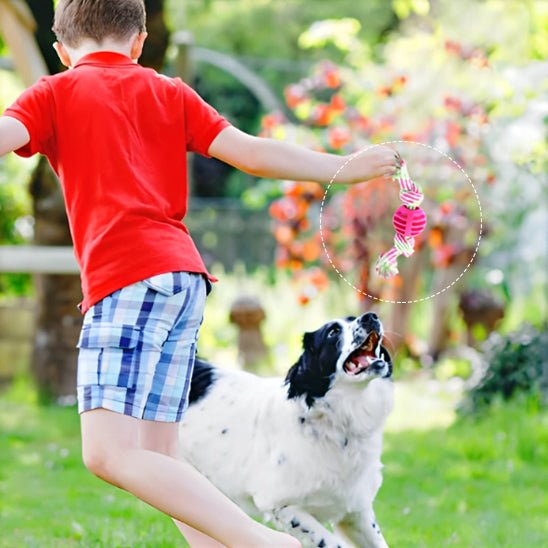 JOUET POUR CHIEN - Chien vénéré