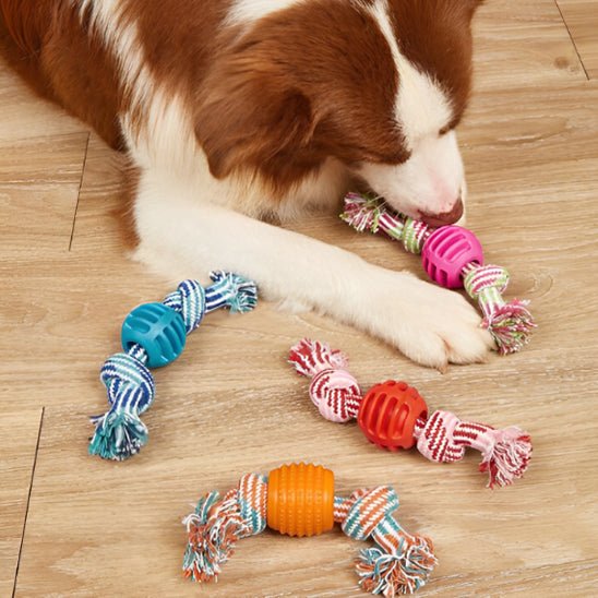 JOUET POUR CHIEN - Chien vénéré